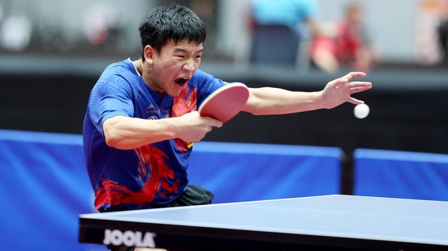 萨利巴分 萨利巴分