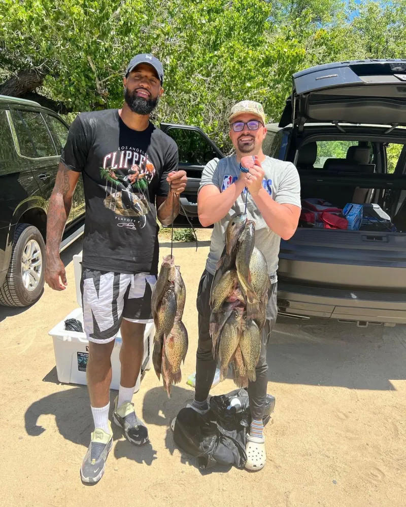 不论结果如 不论结果如