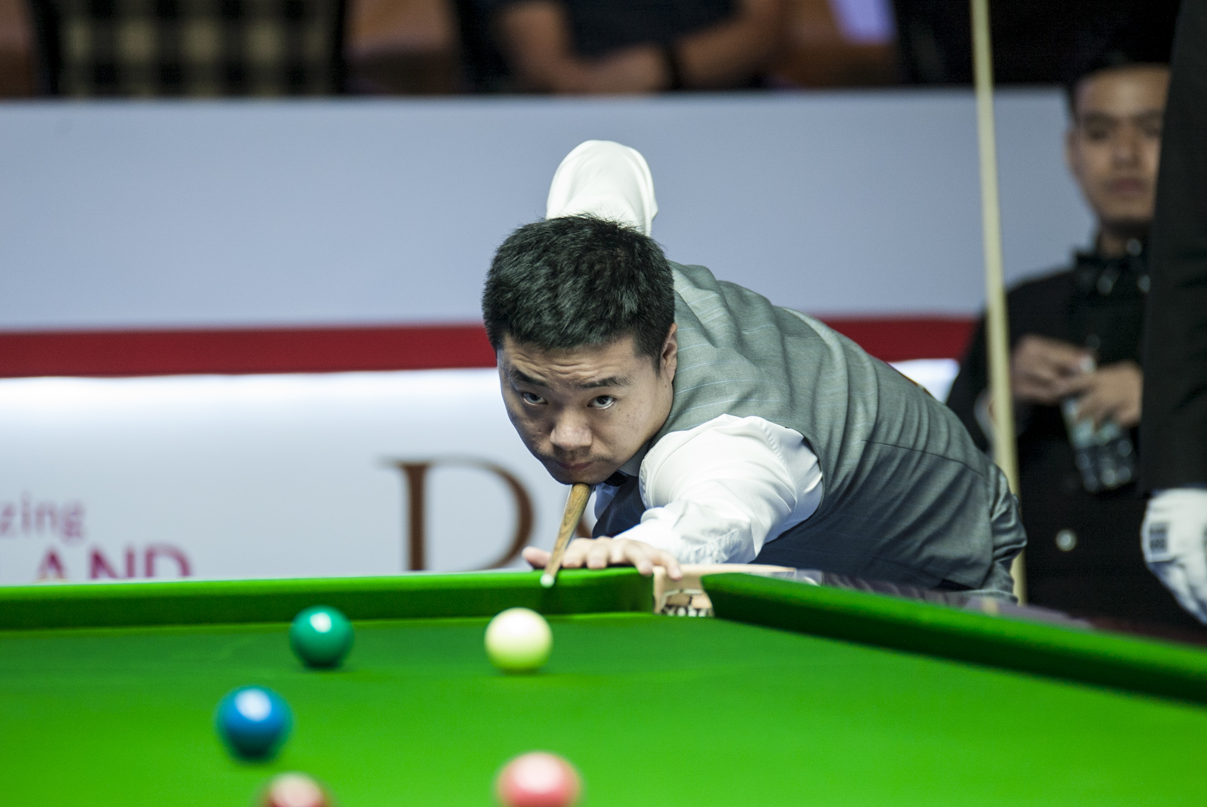 格令人期待 格令人期待