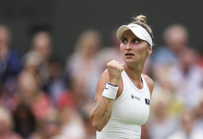 制造商面临 制造商面临