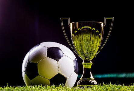 的出色表现 的出色表现